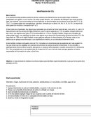 Identificación de gases: CO2