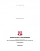 AMPLIACION DE REFICAR