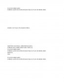 FORMULACIÓN DE ESTRATÉGIAS PARA EL PLAN DE MERCADEO.