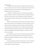 HOLISMO Y CUIDADOS PALIATIVOS