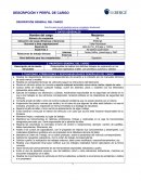 DESCRIPCIÓN GENERAL DEL CARGO