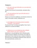 ¿Por qué se dice que la filosofía no es una materia de conocimiento?