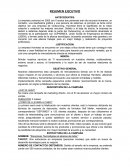 RESUMEN EJECUTIVO ANTECEDENTES