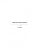 INVESTIGACIÓN DE PREVENCIÓN DE RIESGOS.