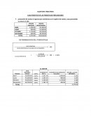 AUDITORIA TRIBUTARIA CASO PRÁCTICO DE LAS PRINCIPALES PRESUNCIONES