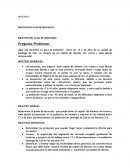 Trabajo Mercadeo. OBJETIVO DEL PLAN DE MERCADEO