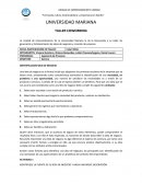 IDENTIFICACION IDEA DE NEGOCIO