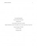 Caso de Estudio: United Cereal: Lora Brill's