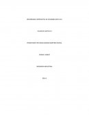 Describa las relaciones insumo – transformación – producto que existen en los siguientes sistemas