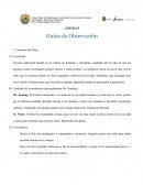 Descripcion de pelicula "el club de los poetas muertos"