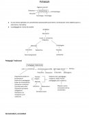 Pedagogía en el Nivel Inicial