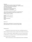 Transporte de bultos de cemento en la empresa Sika de Colombia