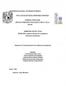 Adherencia terapéutica. El fortalecimiento de la adherencia terapéutica