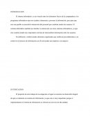 El sistema informático.