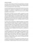 Justificación del problema.