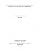 APRENDIZAJE DE LOS NÚMEROS FRACCIONARIOS COMO OPERACIÓN MATEMÁTICA