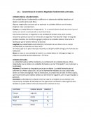 Características de la materia: Magnitudes fundamentales y derivadas.