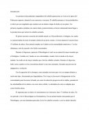 Las afirmaciones de Darwin en la evolución del caballo