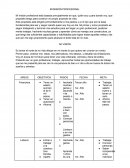 MI MISIÓN PROFESIÓNAL.