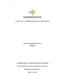CAPITULO 5 Y 6 LIBRO HISTORIA DE LA PSICOLOGIA