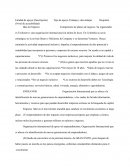 Entidad de apoyo (Descripción)	Tipo de apoyo	Ventajas y desventajas	Requisito (Nivel de accesibilidad)