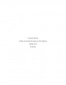 Conductas laborales Técnicas en prevención de riesgos en sector productivo