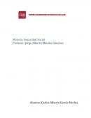 Seguridad social en México.