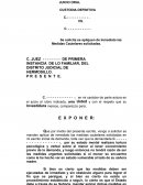 Medidas Cautelares Solicitadas.