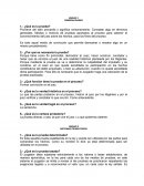 Autoevaluaciones teoria de la prueba.