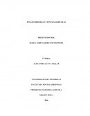 ENSAYO BIOLOGIA Y CIENCIAS AGRICOLAS