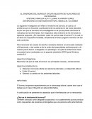 EL SINDROME DEL BURNOUT EN UNA MUESTRA DE AUXILIARES DE ENFERMERIA