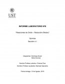 INFORME LABORATORIO Nº6 “Reacciones de Oxido – Reducción (Redox)”