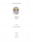 Matoneo Escolar Abordaje Metodológico