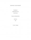 INFORME GESTION DEL TALENTO HUMANO