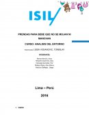 Analisis del entorno. Caso Baby- R