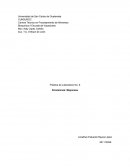 Reporte de laboratorio de quimica