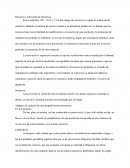 Recursos y Ejecución de Sentencia