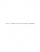 CUADROS DE DISTRIBUCION DE FRECUENCIAS Y REPRESENTACION GRAFICA