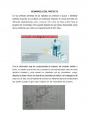 DESARROLLO DEL PROYECTO..