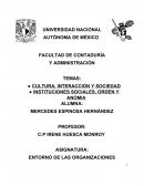 Cultura, interacción y sociedad.