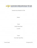 Pensamiento Lógico Matemático En El Niño.