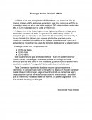 Refugio de vida silvestre La Marta