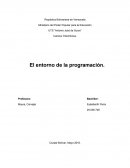 Entorno de la programacion