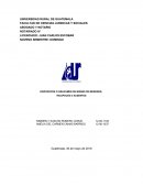 DISPOSICIÓN O GRAVAMEN DE BIENES DE MENORES,