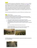 Trabajo sobre la canción "Wake me up"