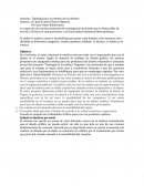 Tipología para la estética de los diseños .