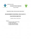 RECONOCIMIENTO DE MATERIAL PARA COLECTA Y COLECCIÓN DE INSECTOS.