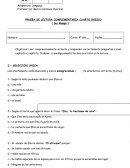 Prueba de sui manga.