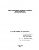 PLAN DE TRABAJO METODOLOGICO