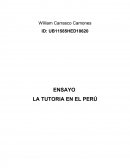 ENSAYO LA TUTORIA EN EL PERU.